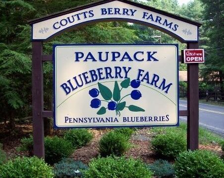 Paupack Blueberry Farm